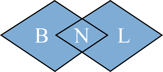 Logo PT Bina Nusa Lestari